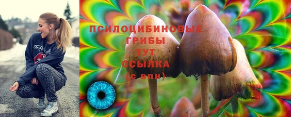амф Баксан