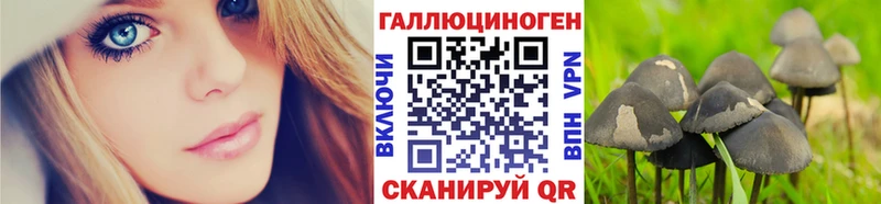 Псилоцибиновые грибы прущие грибы  Зарайск 